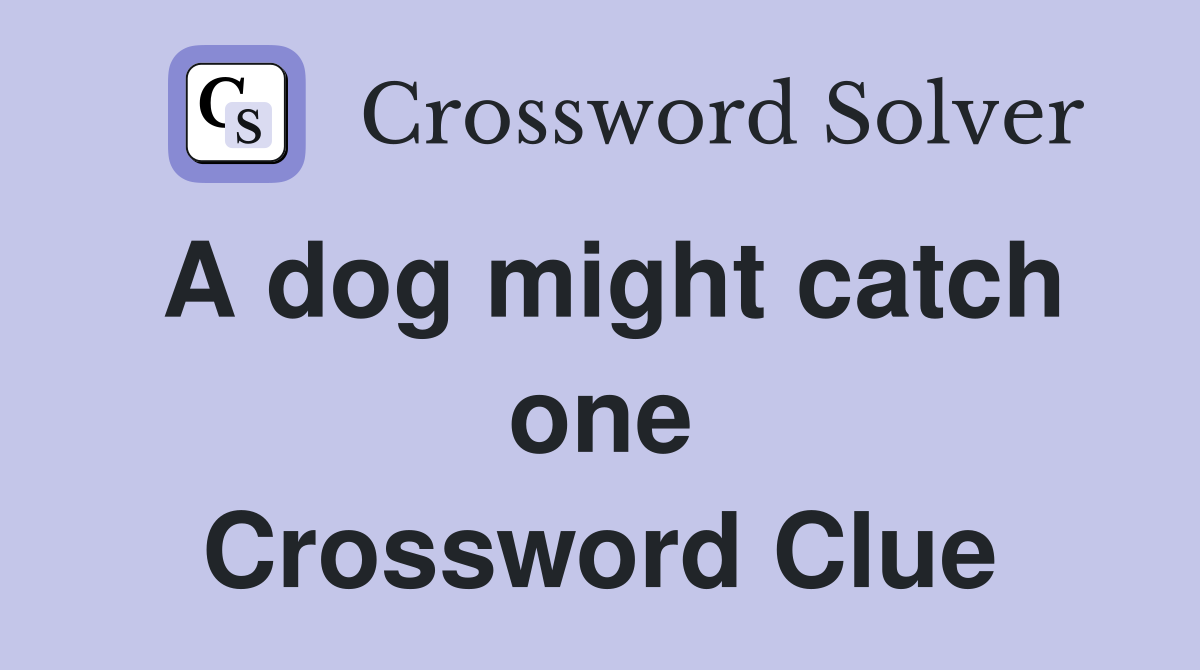 A dog might catch one Crossword Clue