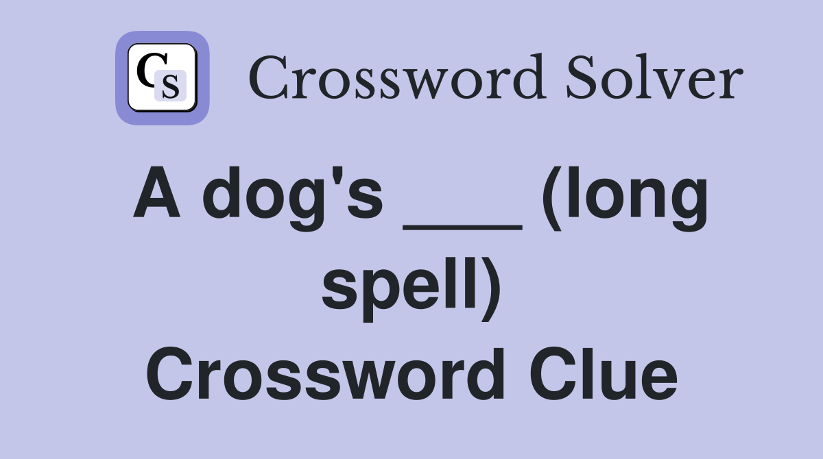 A dog's ___ (long spell) Crossword Clue