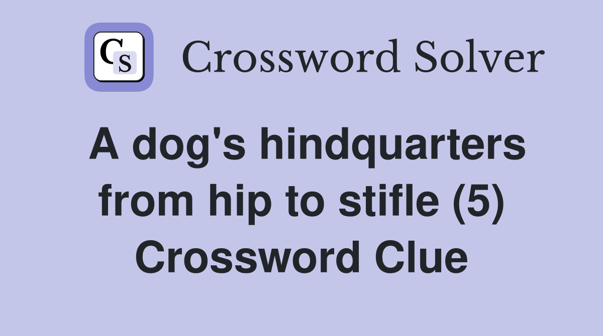 A dog's hindquarters from hip to stifle (5) Crossword Clue