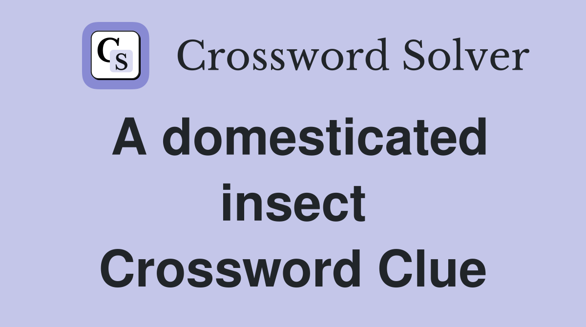 A domesticated insect Crossword Clue