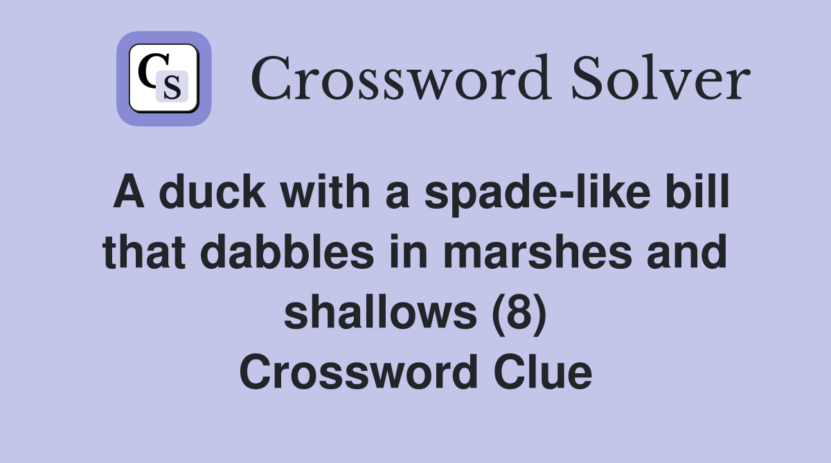 A duck with a spade-like bill that dabbles in marshes and shallows (8) Crossword Clue