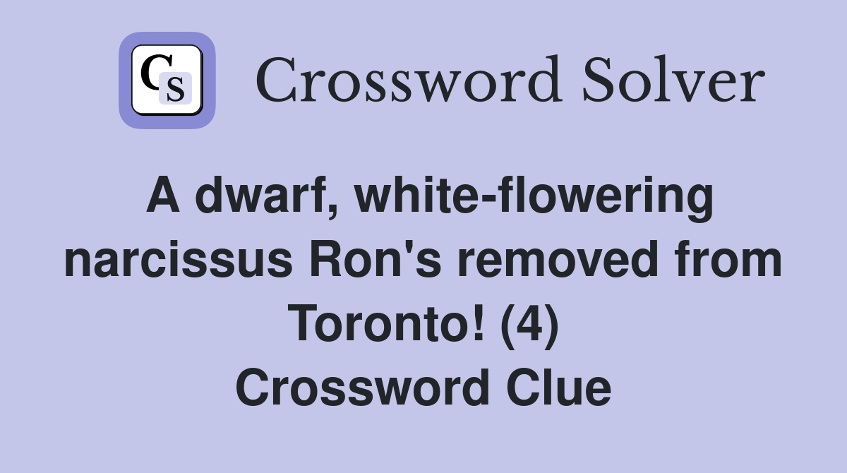 A dwarf, white-flowering narcissus Ron's removed from Toronto! (4) Crossword Clue