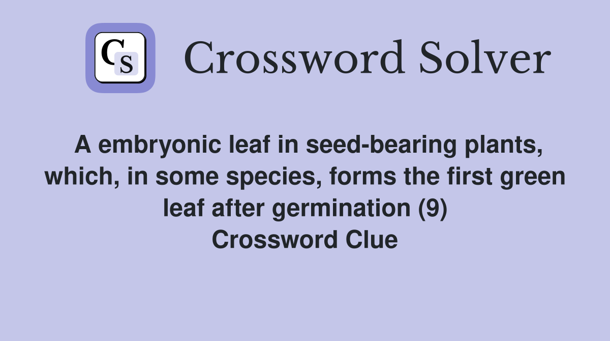 A embryonic leaf in seed-bearing plants, which, in some species, forms the first green leaf after germination (9) Crossword Clue
