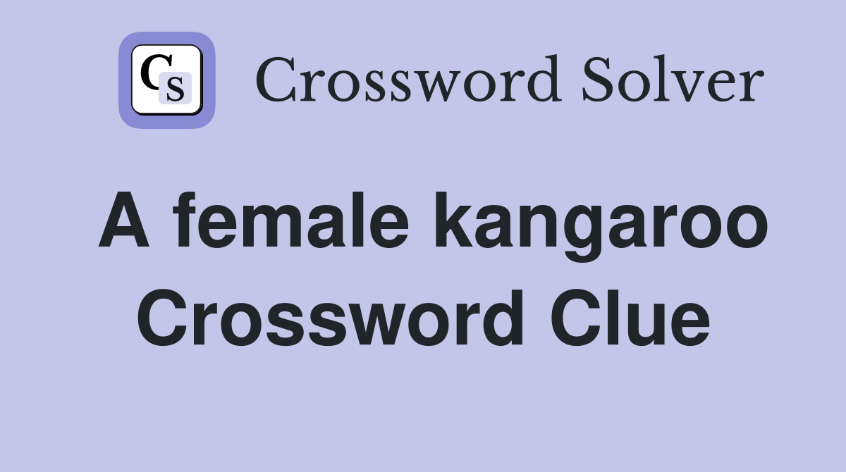 A female kangaroo Crossword Clue