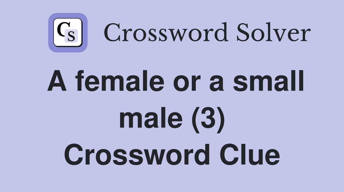 A female or a small male (3) Crossword Clue