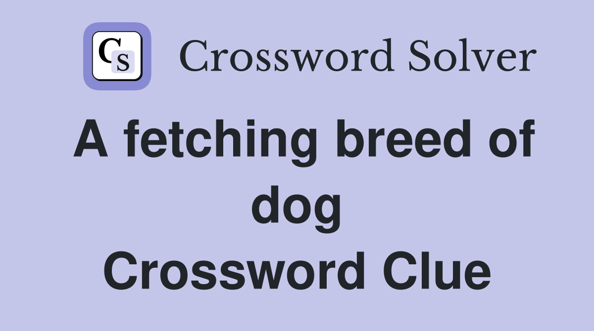 A fetching breed of dog Crossword Clue
