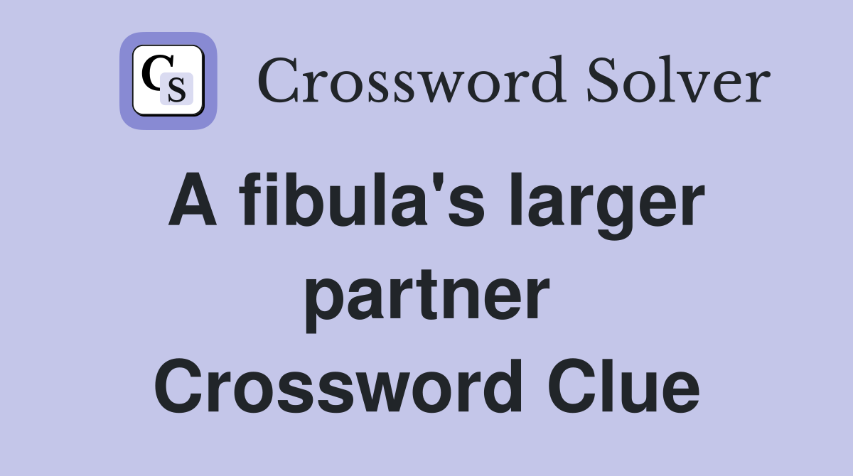 A fibula's larger partner Crossword Clue