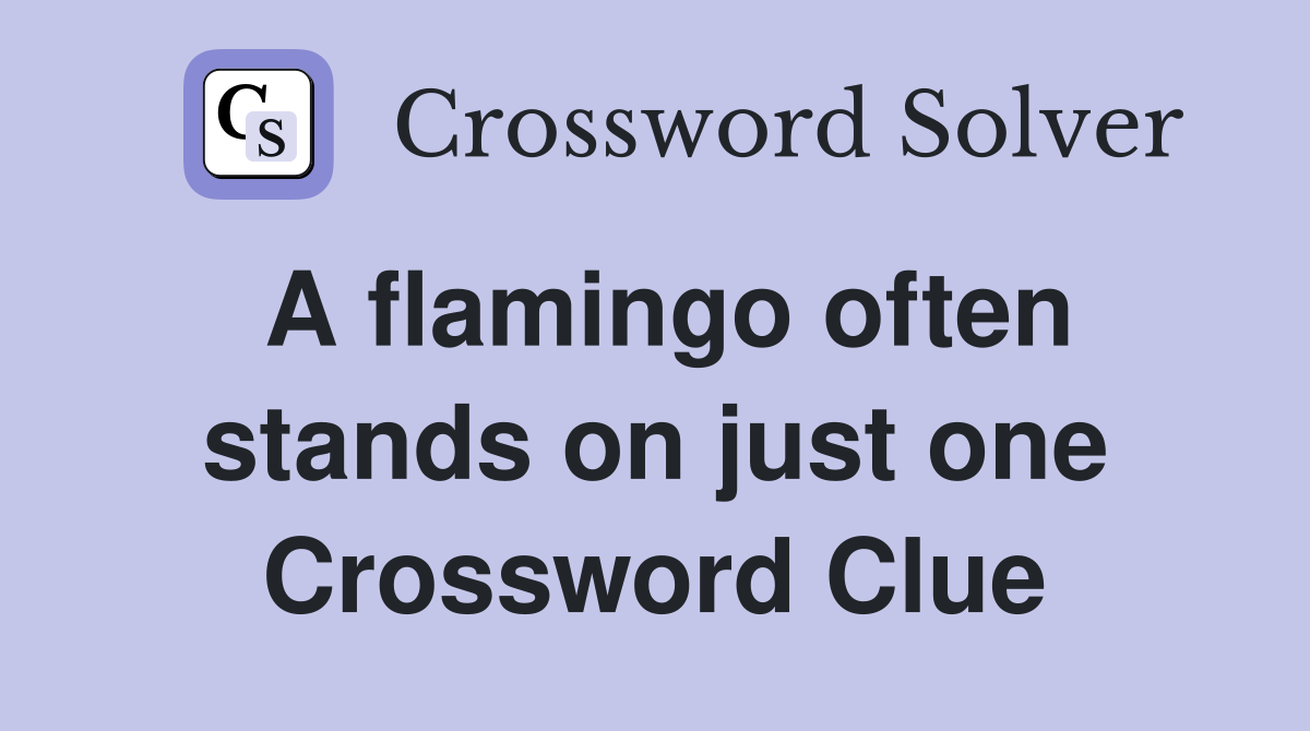 A flamingo often stands on just one Crossword Clue