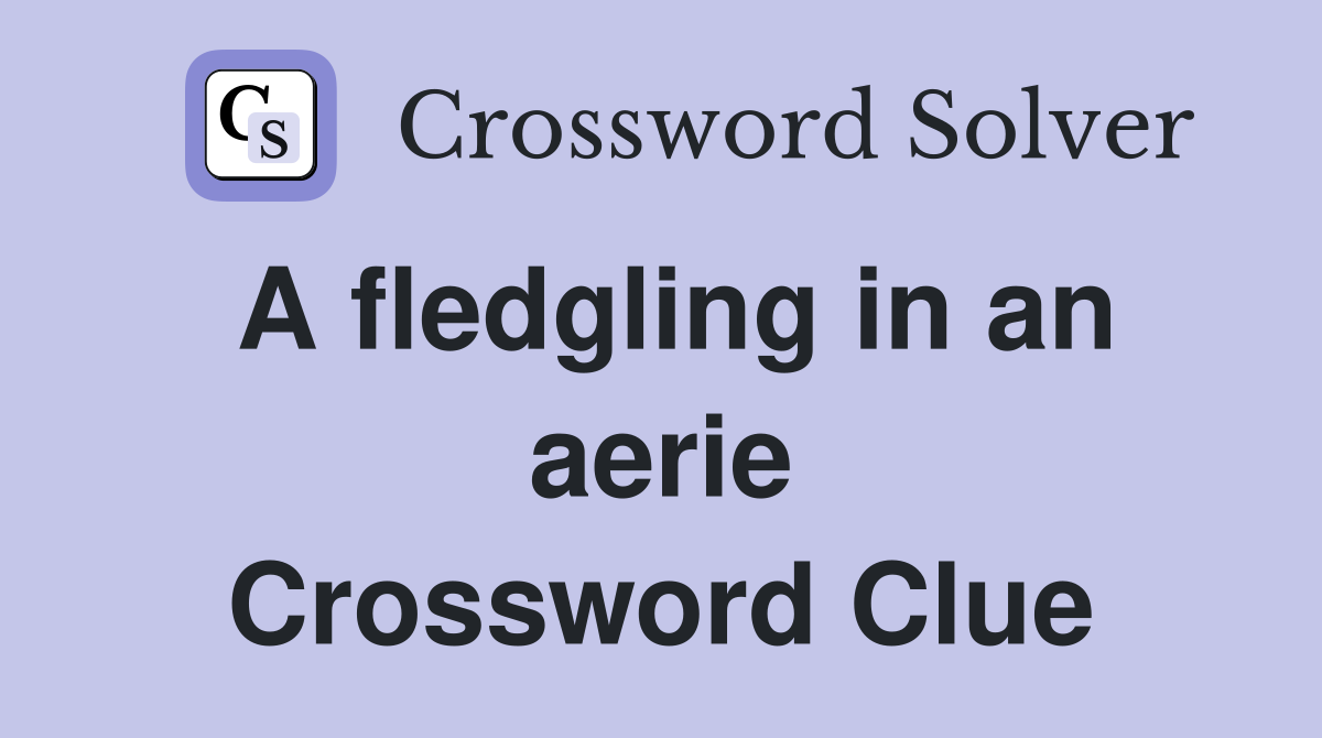 A fledgling in an aerie Crossword Clue
