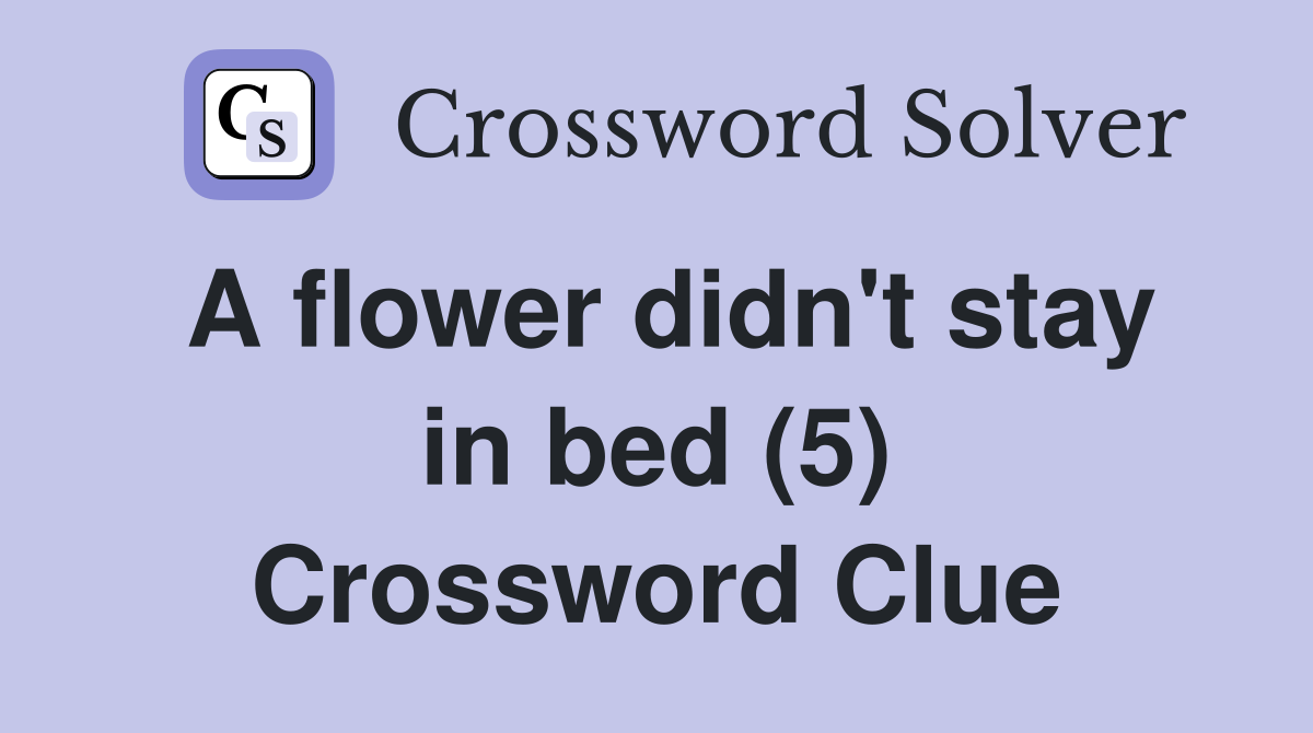 A flower didn't stay in bed (5) Crossword Clue