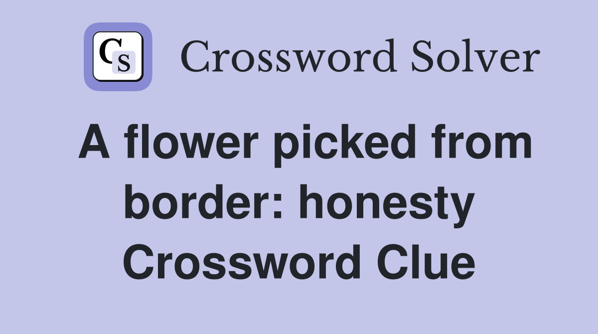 A flower picked from border: honesty Crossword Clue