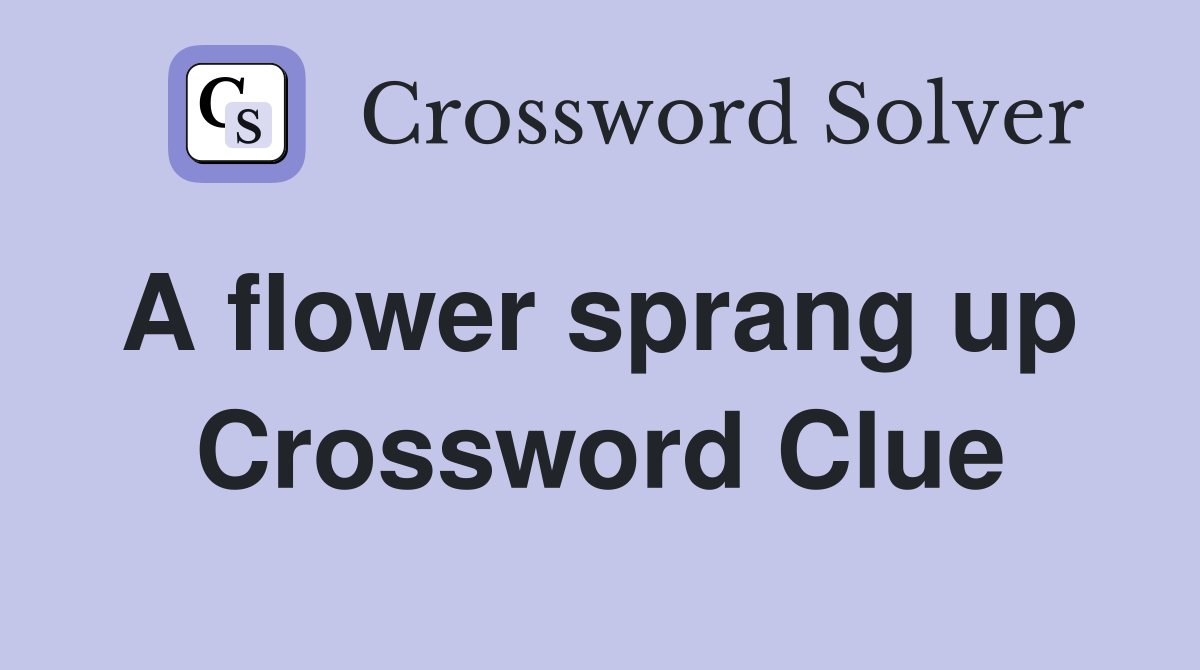 A flower sprang up  Crossword Clue