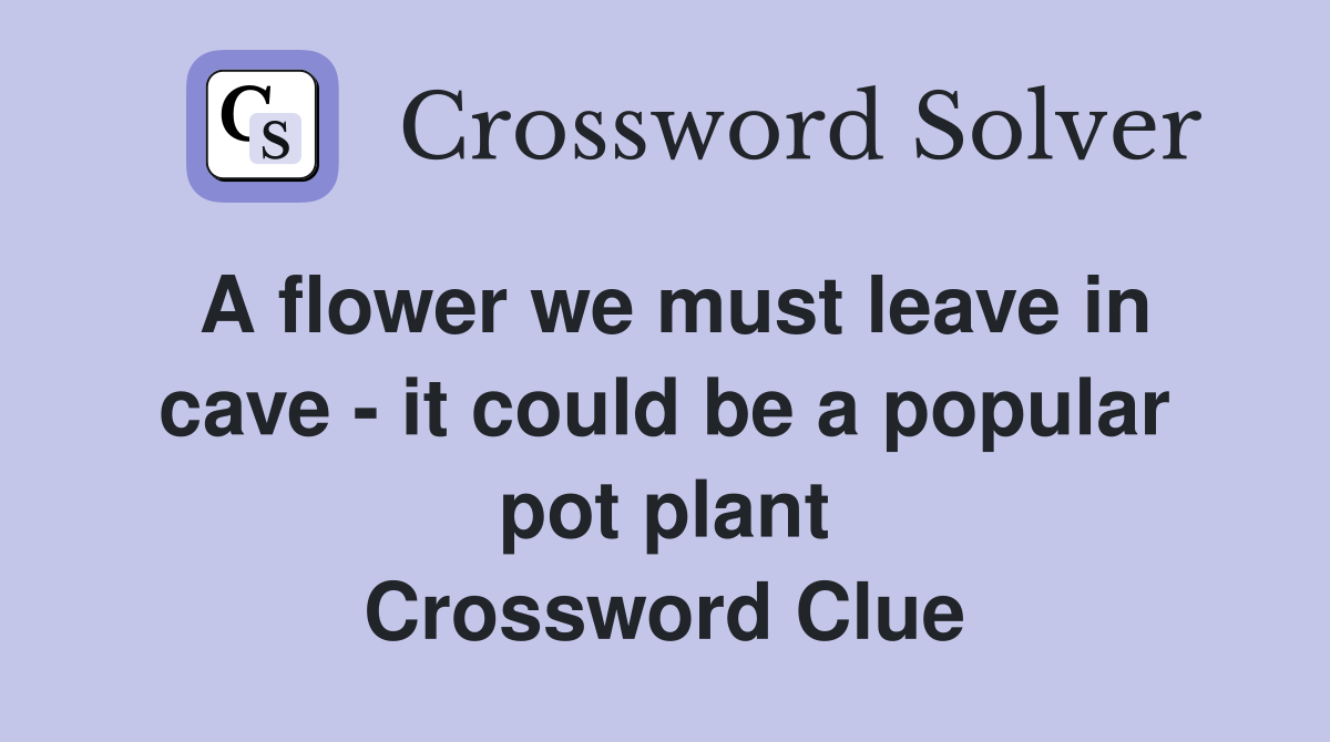 A flower we must leave in cave - it could be a popular pot plant Crossword Clue