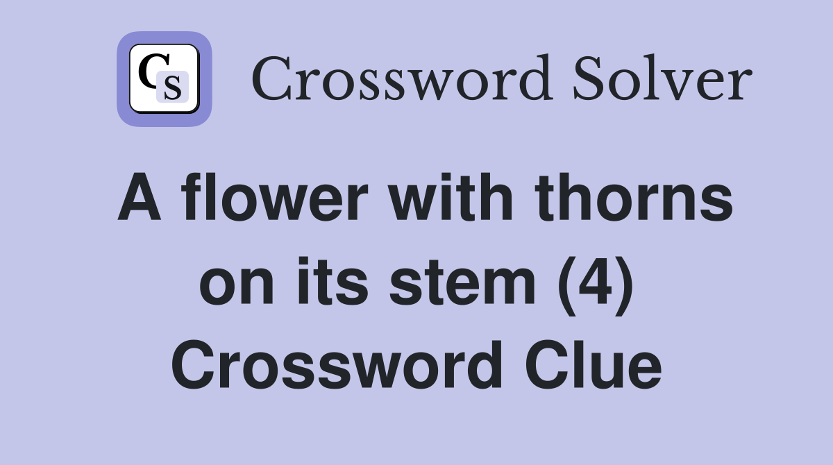 A flower with thorns on its stem (4) Crossword Clue