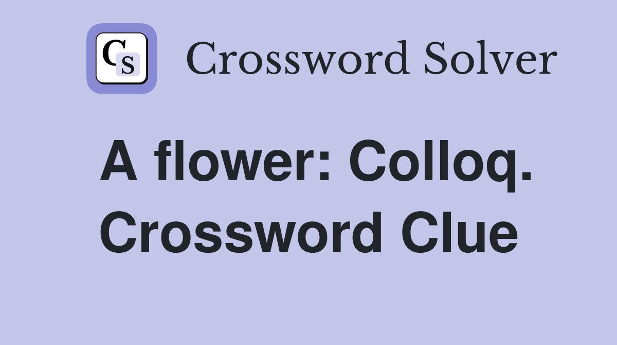 A flower: Colloq. Crossword Clue