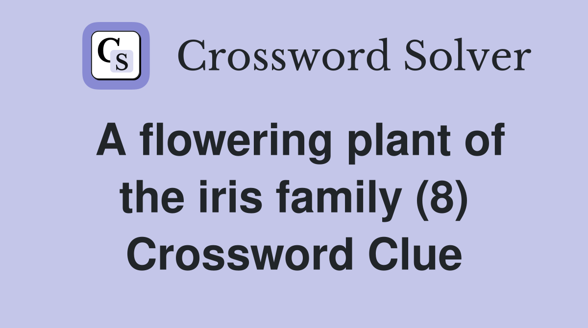 A flowering plant of the iris family (8) Crossword Clue