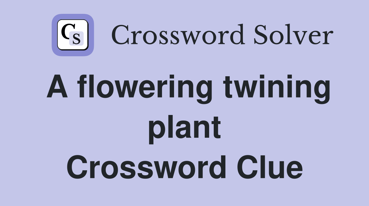 A flowering twining plant Crossword Clue