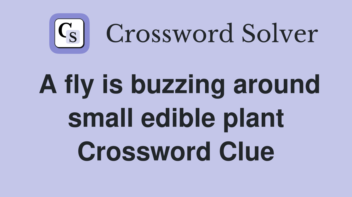 A fly is buzzing around small edible plant Crossword Clue