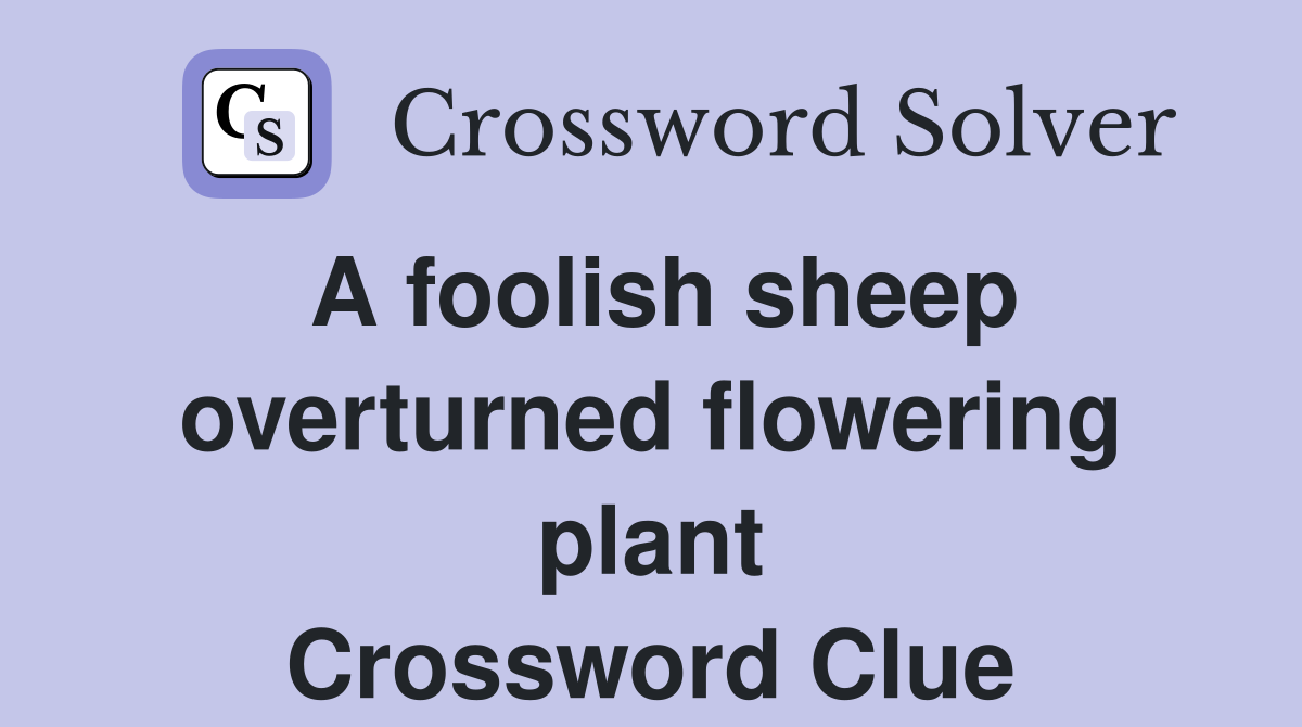 A foolish sheep overturned flowering plant Crossword Clue