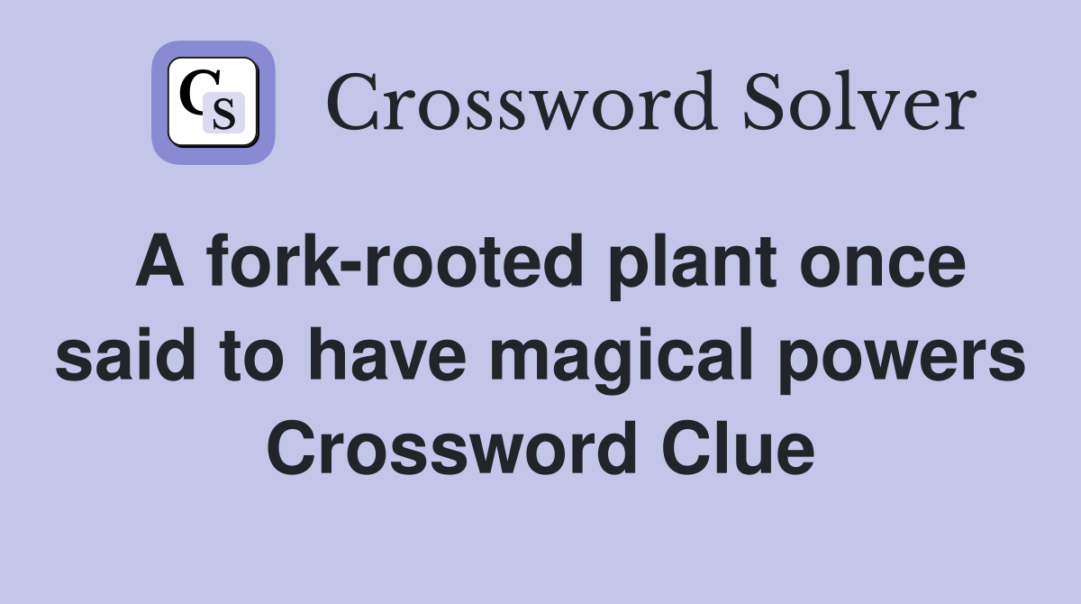 A fork-rooted plant once said to have magical powers Crossword Clue
