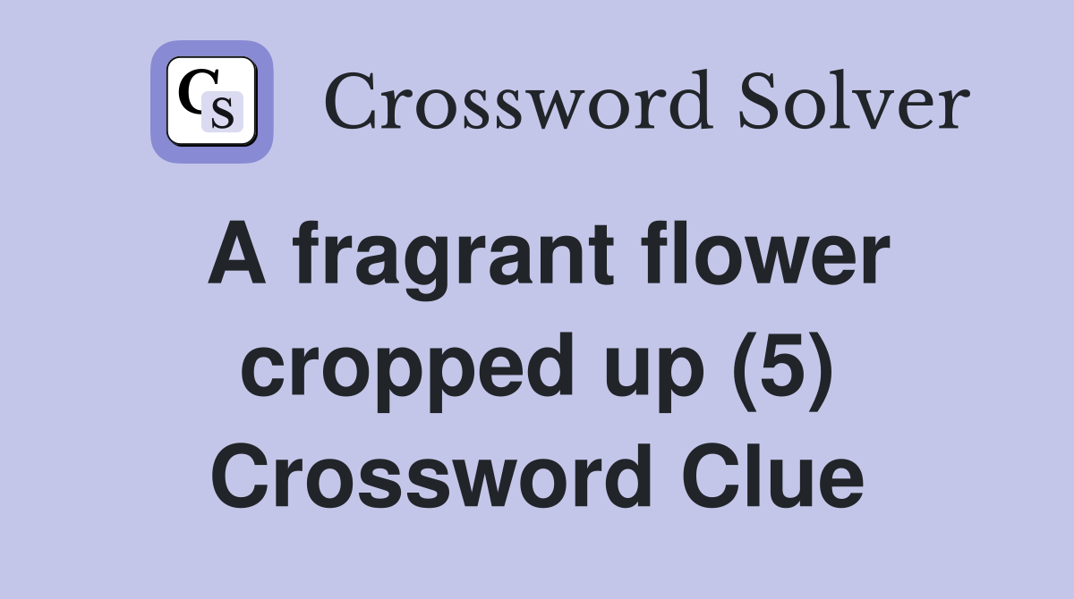 A fragrant flower cropped up (5) Crossword Clue
