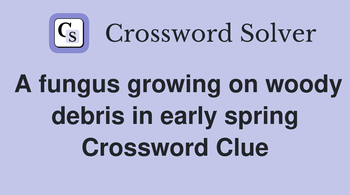 A fungus growing on woody debris in early spring Crossword Clue