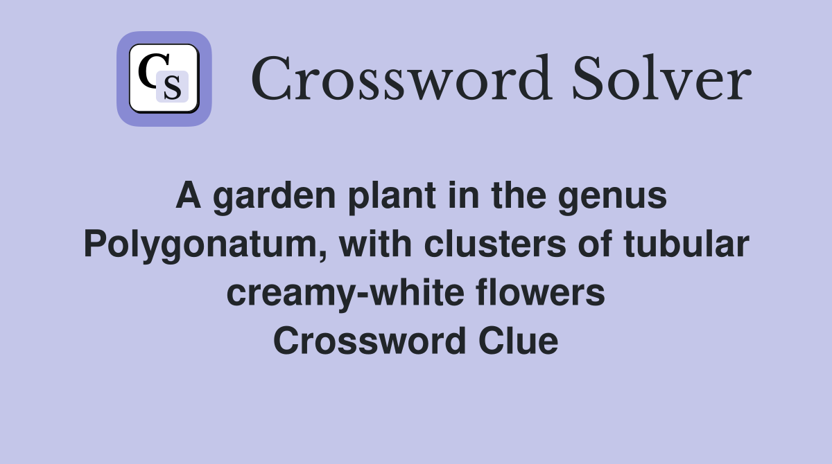 A garden plant in the genus Polygonatum, with clusters of tubular creamy-white flowers Crossword Clue