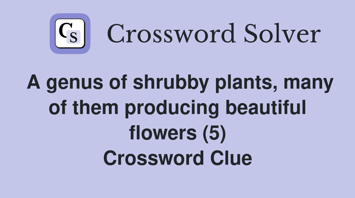 A genus of shrubby plants, many of them producing beautiful flowers (5) Crossword Clue