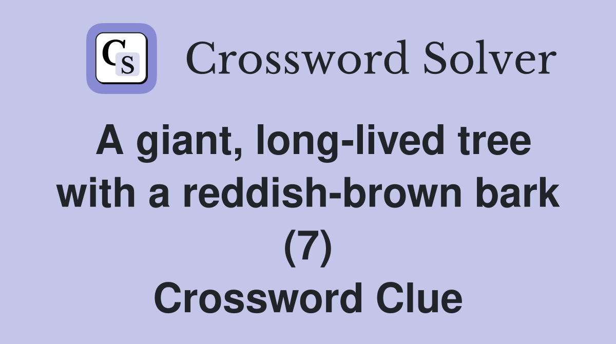 A giant, long-lived tree with a reddish-brown bark (7) Crossword Clue