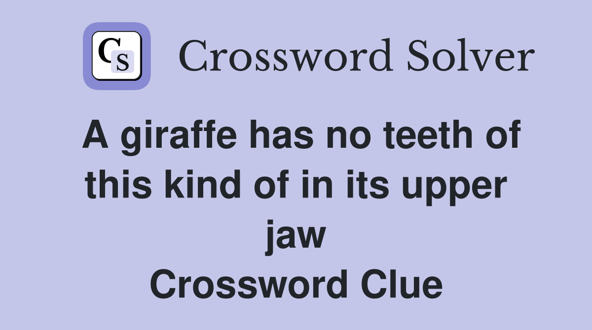 A giraffe has no teeth of this kind of in its upper jaw Crossword Clue