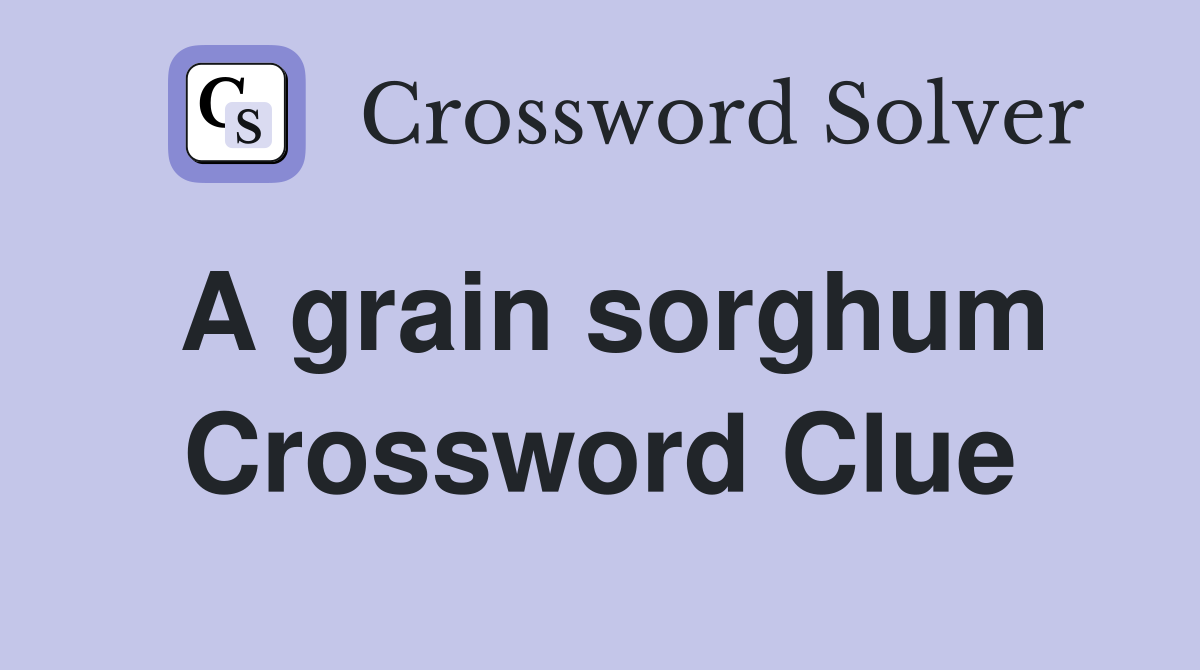 A grain sorghum Crossword Clue