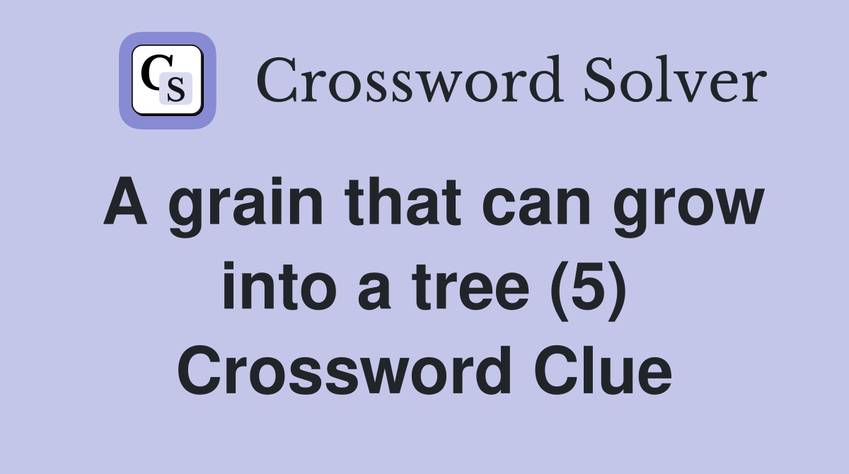 A grain that can grow into a tree (5) Crossword Clue