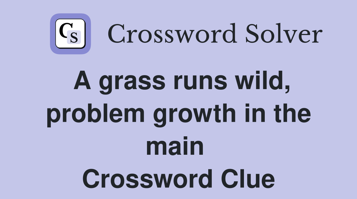 A grass runs wild, problem growth in the main  Crossword Clue