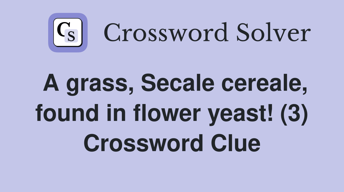 A grass, Secale cereale, found in flower yeast! (3) Crossword Clue