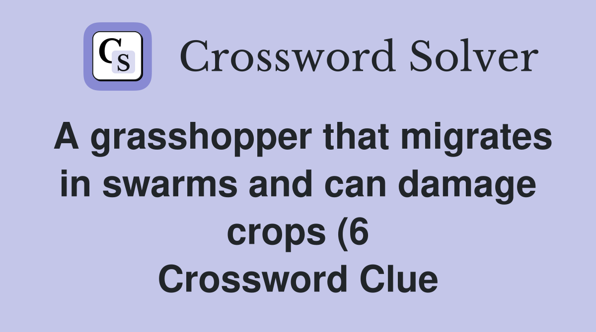 A grasshopper that migrates in swarms and can damage crops (6 A grasshopper that migrates in swarms and can damage crops (6