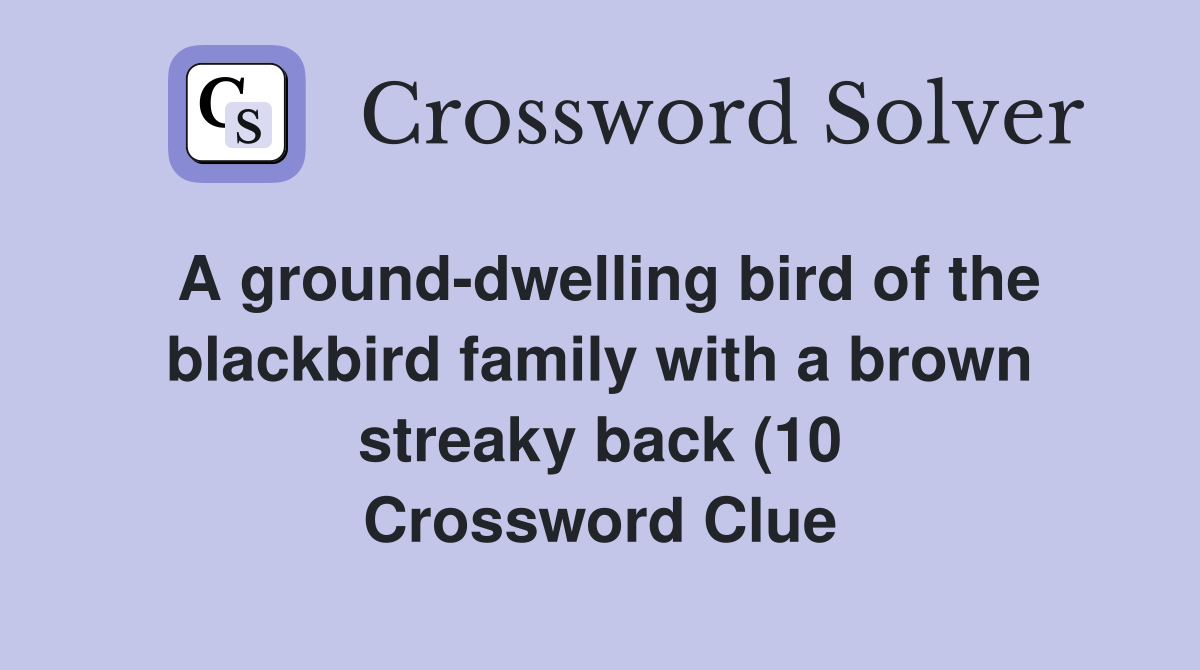 A ground dwelling bird of the blackbird family with a brown streaky A ground dwelling bird of the blackbird family with a brown streaky