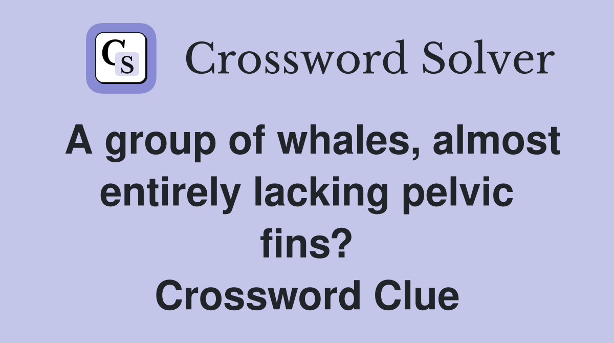 A group of whales, almost entirely lacking pelvic fins? Crossword Clue