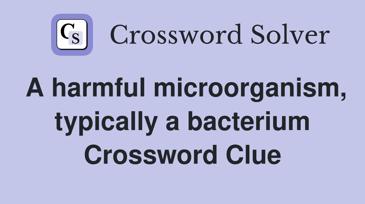 A harmful microorganism, typically a bacterium Crossword Clue