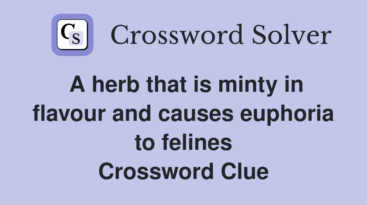 A herb that is minty in flavour and causes euphoria to felines Crossword Clue