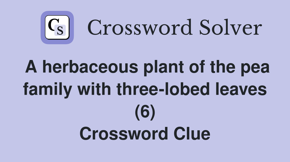 A herbaceous plant of the pea family with three-lobed leaves (6) Crossword Clue