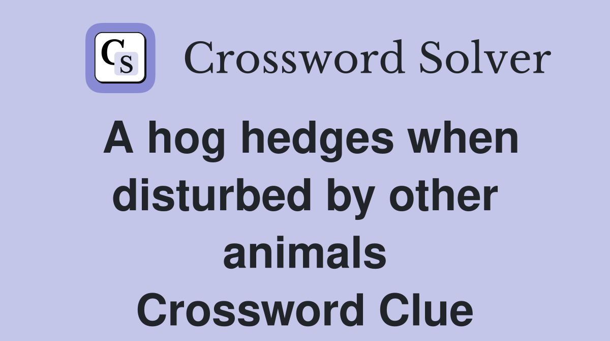 A hog hedges when disturbed by other animals Crossword Clue