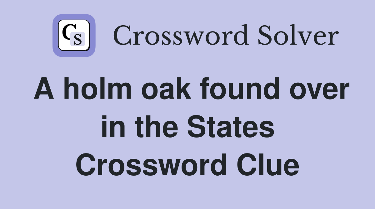 A holm oak found over in the States Crossword Clue
