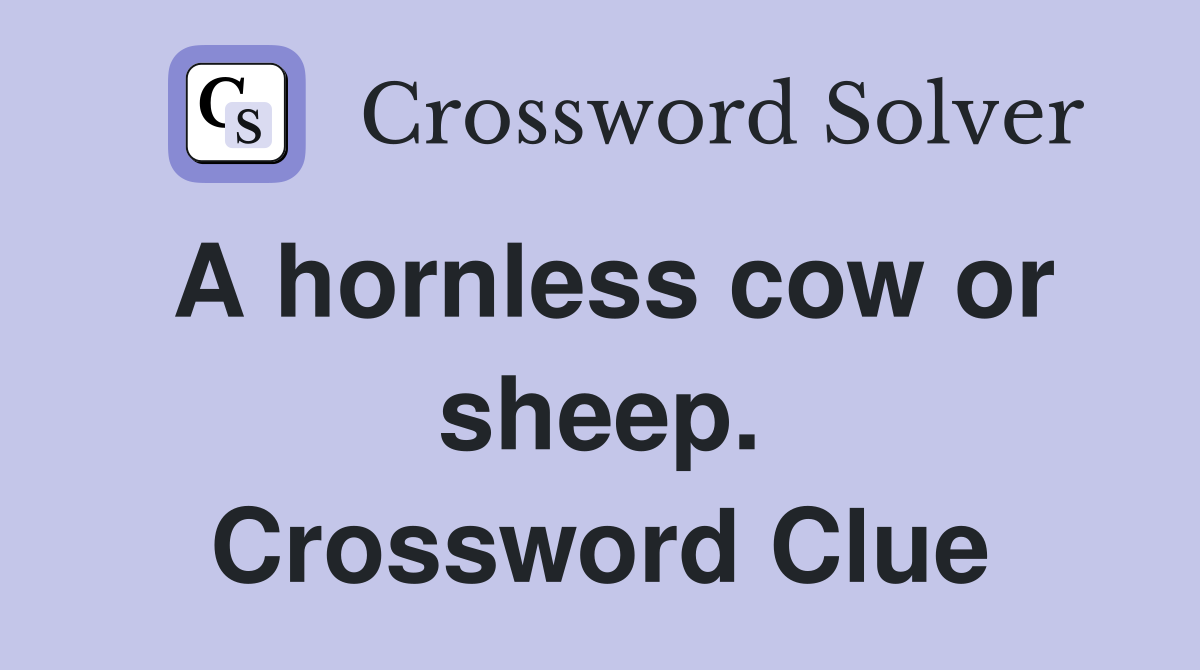A hornless cow or sheep. Crossword Clue