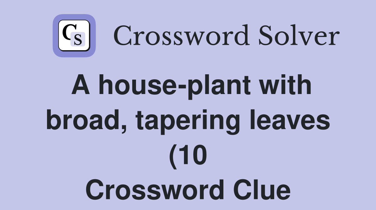 A house plant with broad tapering leaves (10) Crossword Clue Answers A house plant with broad tapering leaves (10) Crossword Clue Answers