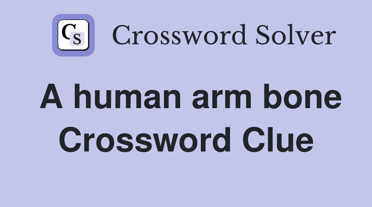 A human arm bone Crossword Clue