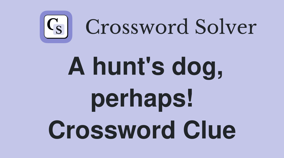 A hunt's dog, perhaps! Crossword Clue