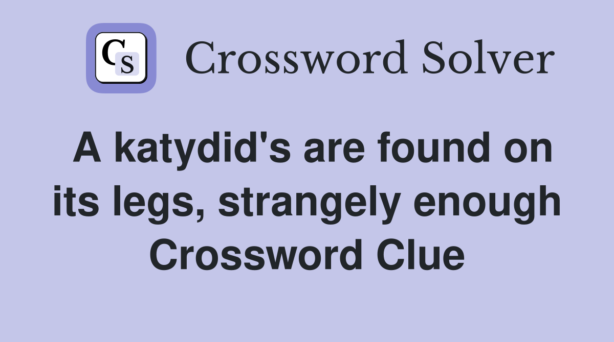 A katydid's are found on its legs, strangely enough Crossword Clue