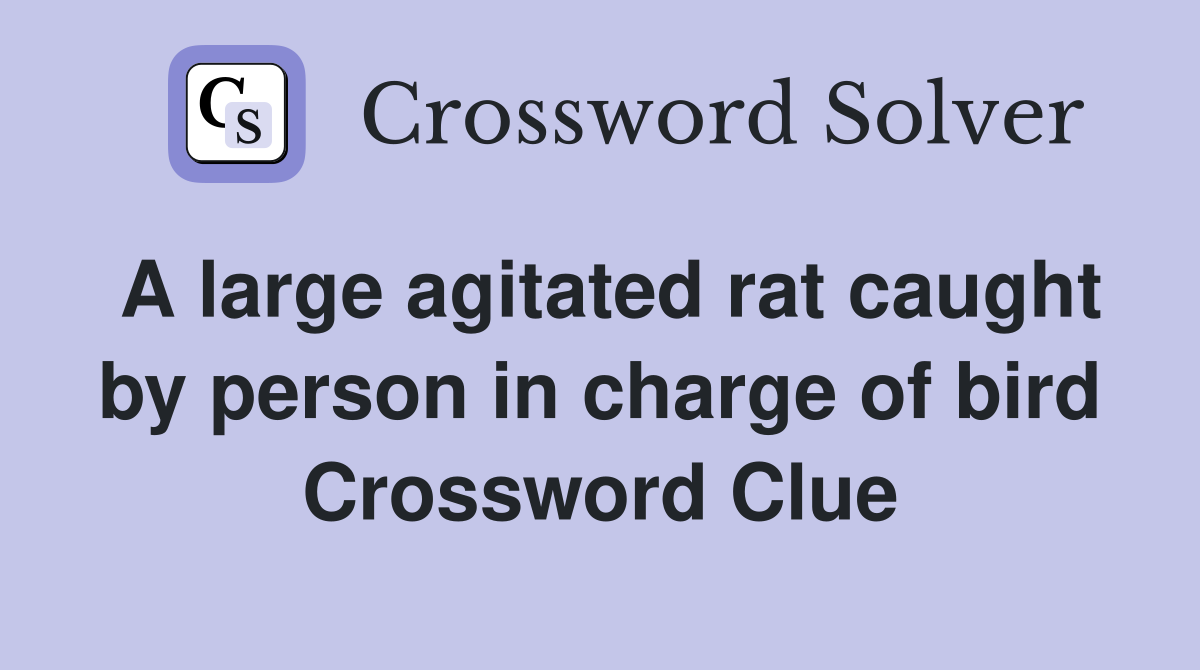 A large agitated rat caught by person in charge of bird Crossword Clue