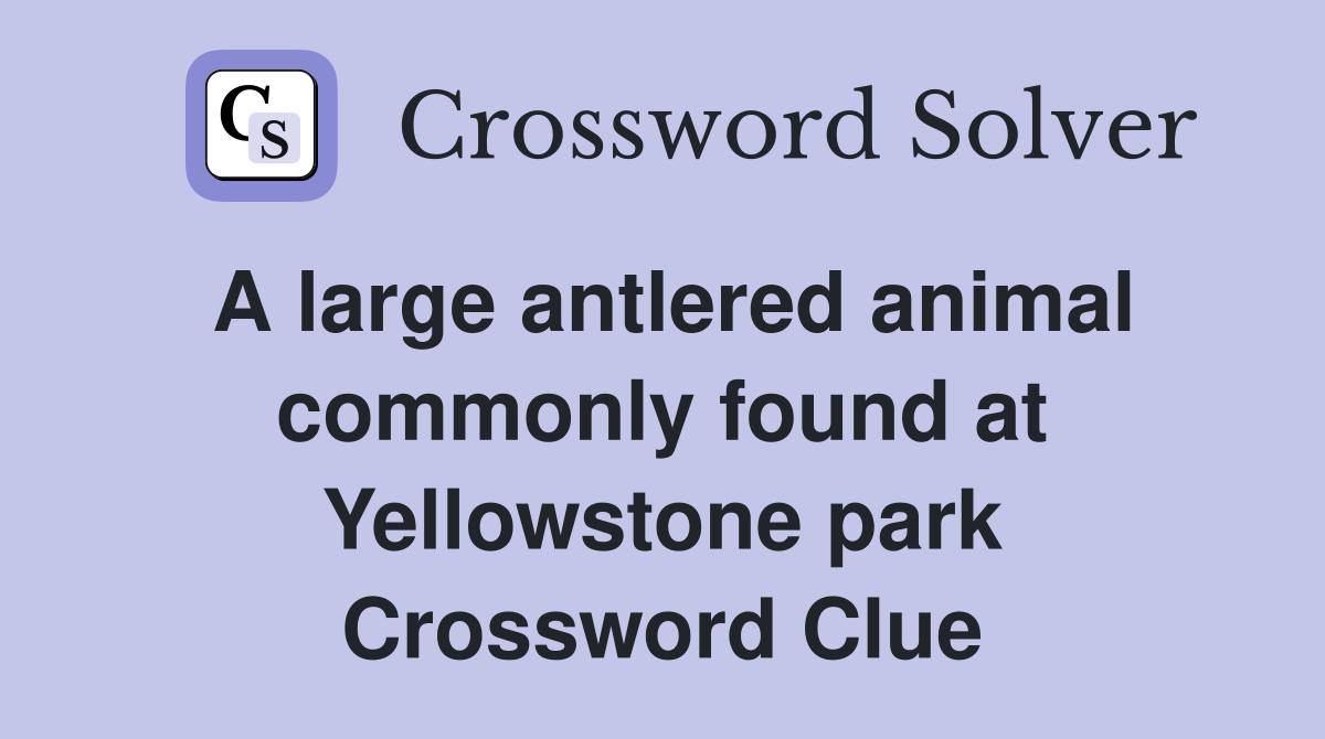 A large antlered animal commonly found at Yellowstone park Crossword Clue
