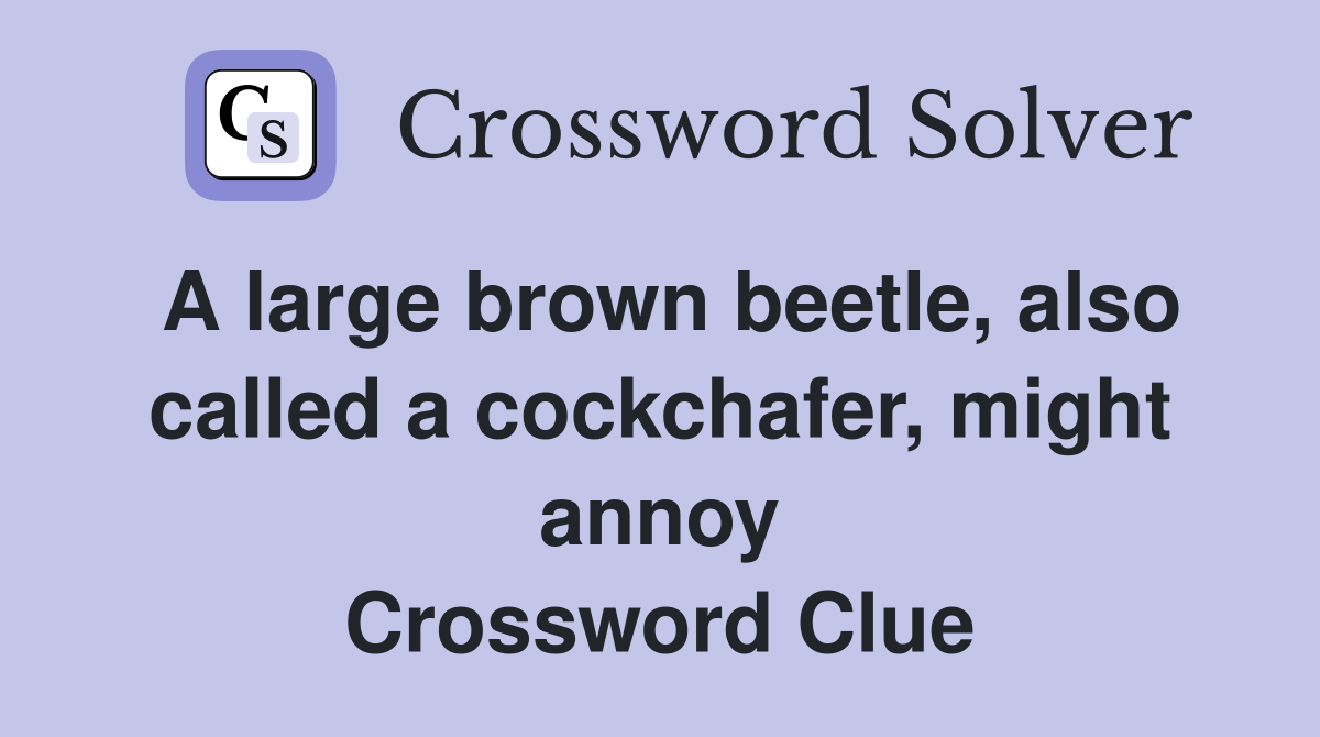 A large brown beetle, also called a cockchafer, might annoy Crossword Clue